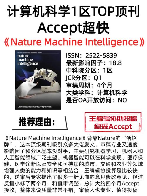 supercomputer:supercomputer期刊