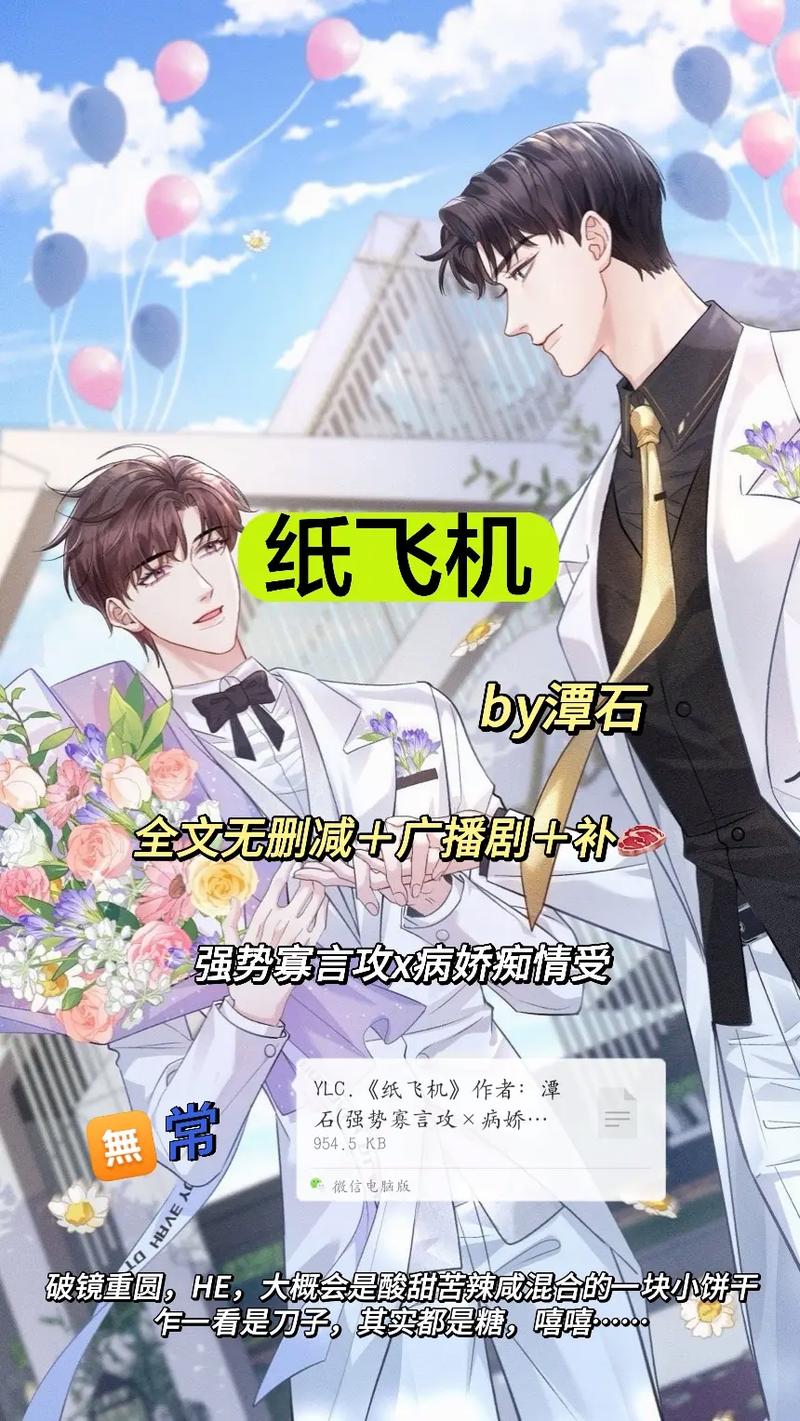 纸飞机小说无删改在哪里看?轻松找到最纯粹的阅读体验