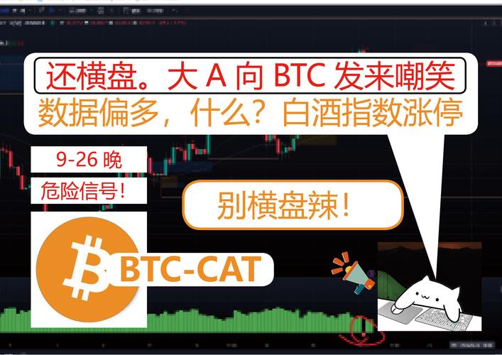 btc是什么意思:BTC是什么意思呀