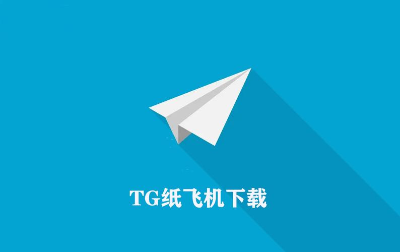 纸飞机TG中文破解版下载与使用全攻略，轻松畅享高效通讯