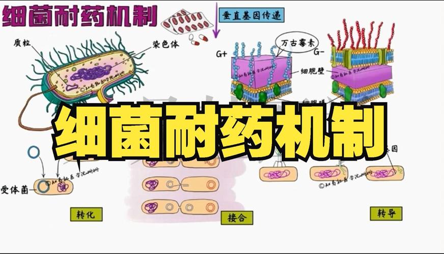 卡波姆为什么能杀菌消炎？深入解析其抗菌机制与应用