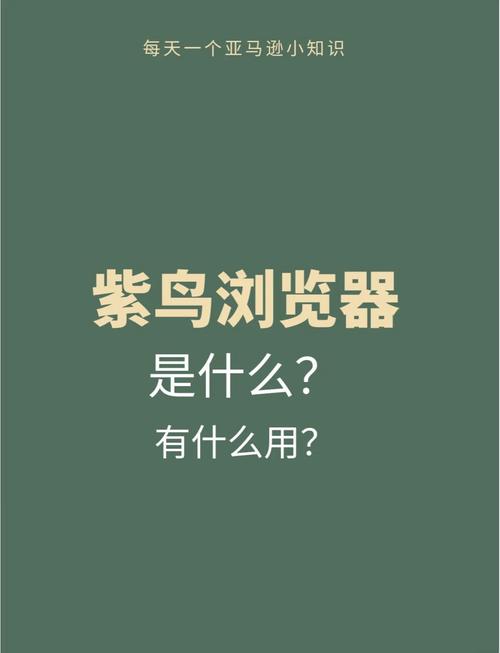 防关联候鸟浏览器:防关联候鸟浏览器下载安装步骤详解