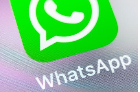 最新whatsapp安卓版下载:whatsapp android下载最新