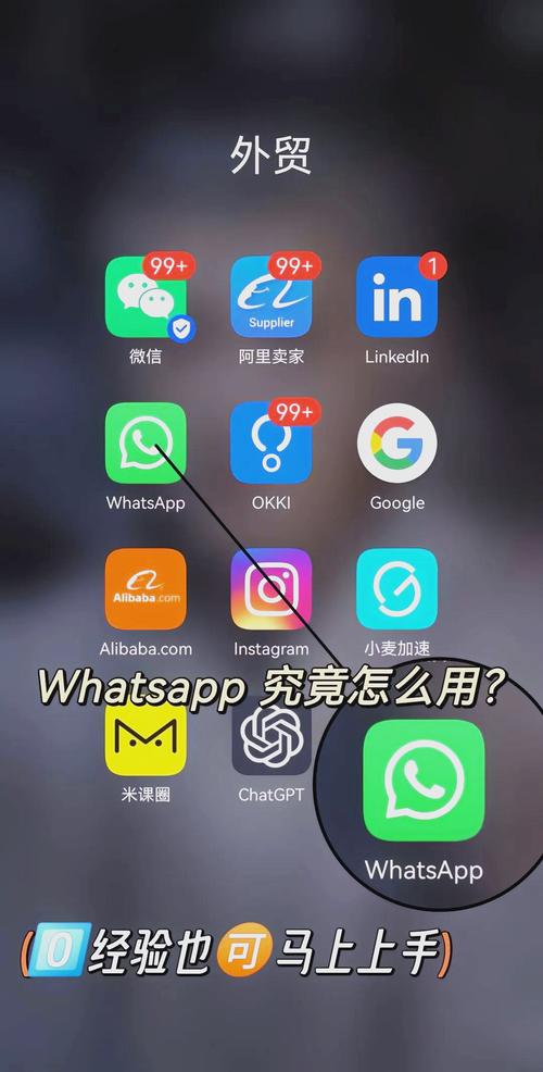 WhatsApp网页版怎么登录：详细步骤与功能解析