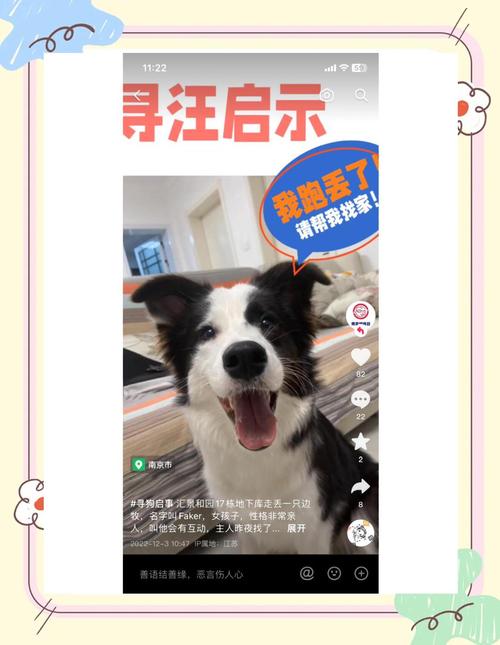 狗狗币官网账号怎么找回:狗狗币网账户密码忘记怎么办