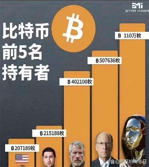 十大比特币拥有者:比特币持有数量前十大佬
