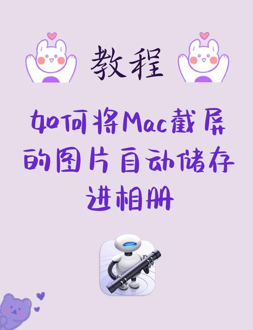 如何在Telegram中轻松读取和下载相册照片