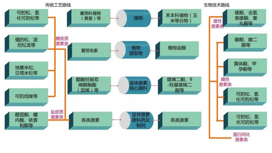 深入解析瑞波币平台：技术优势与市场现状