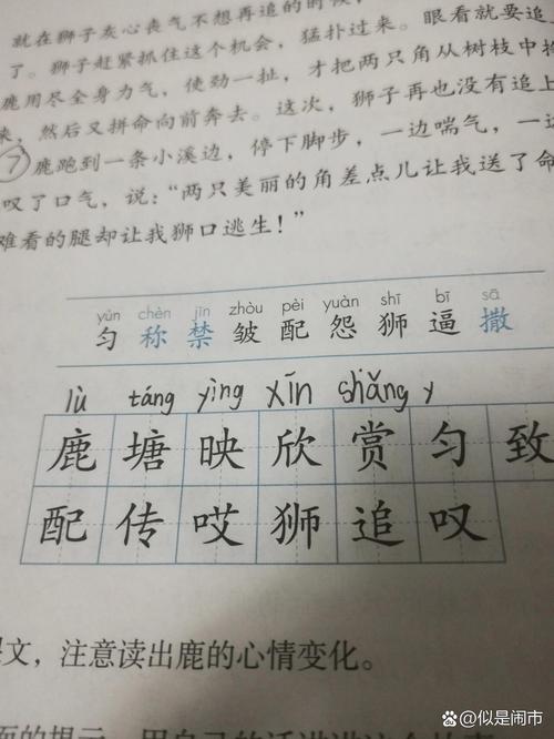 lion名字的寓意:lion什么意思中文名字