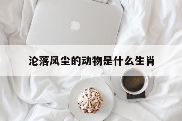 沦落风尘的动物是什么生肖:沦落风尘的动物是什么生肖呢