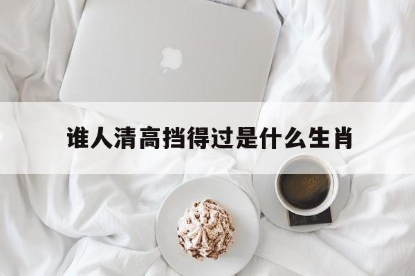 谁人清高挡得过是什么生肖:谁人清高挡得过是什么生肖?解释词语落实释义